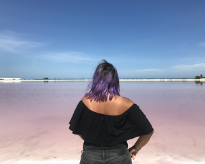puerto morelos tour agency