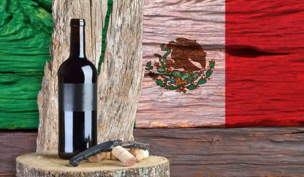 mejores vinos mexicanos