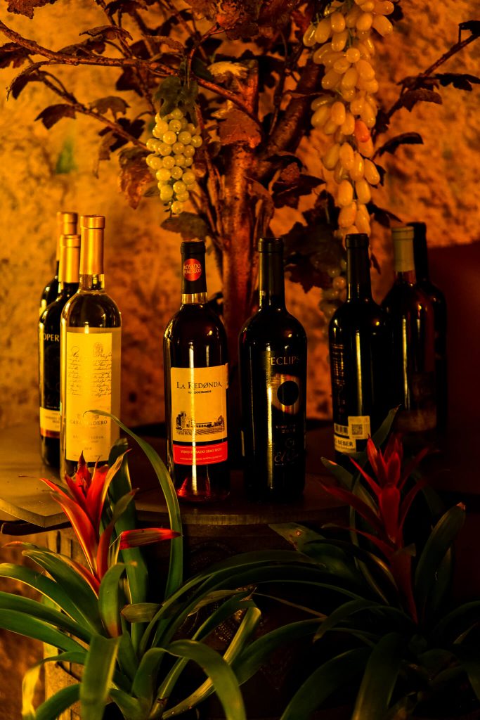 Mexican wines Xcaret