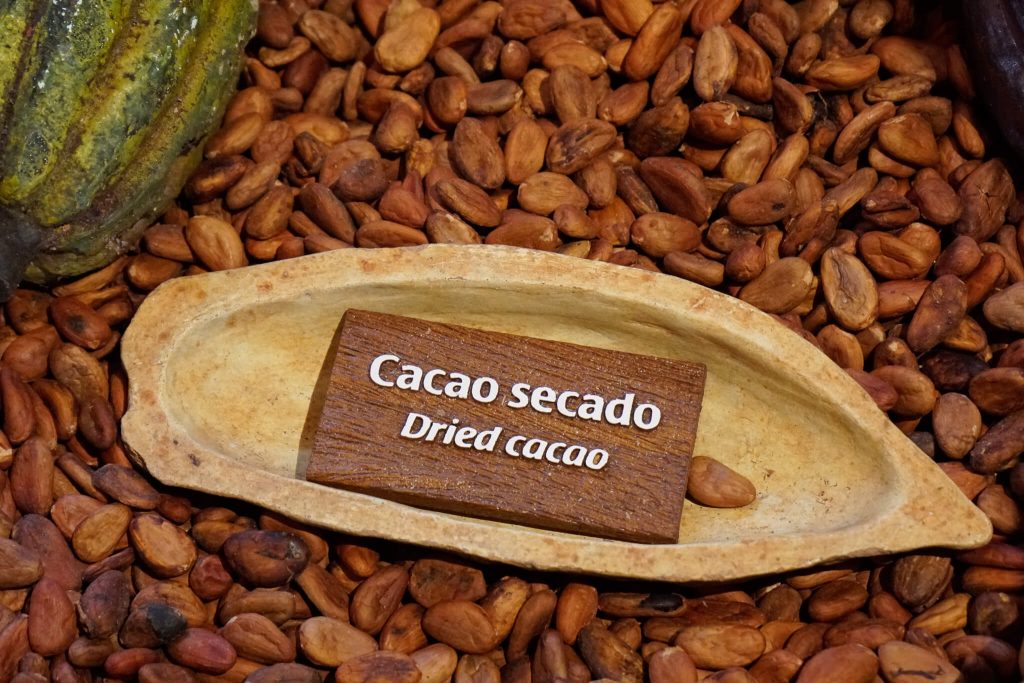 dried cocoa