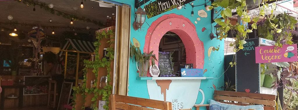 puerto morelos tour agency blog
