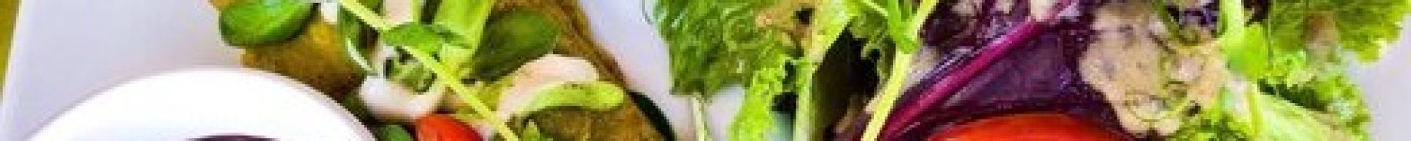 puerto morelos tour agency blog